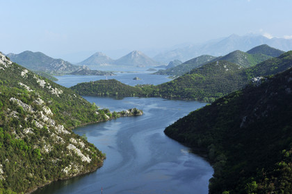 Montenegor, Skadar