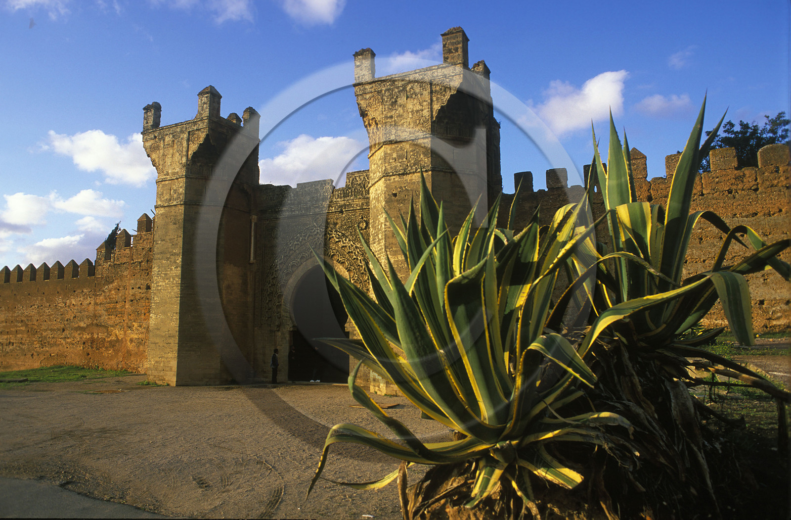 MAROC   RABAT.FORT DE CHELLAH
