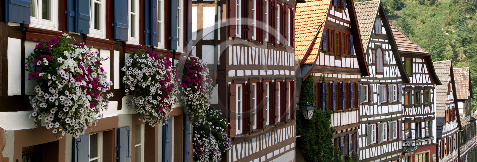 Black Forest, Germany