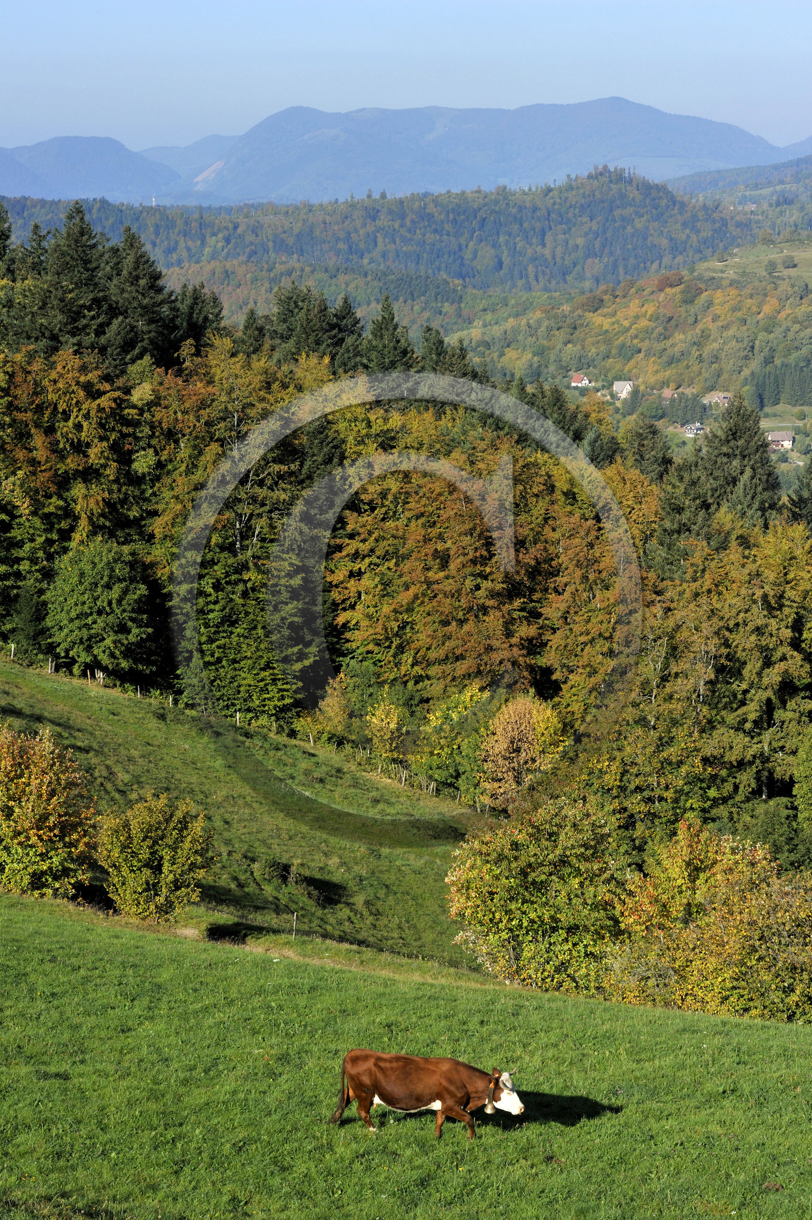 France, Grand Ballon