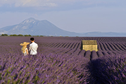 France, Valensole