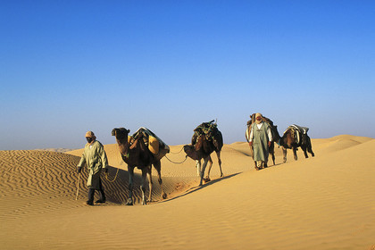 Erg, Tunisie