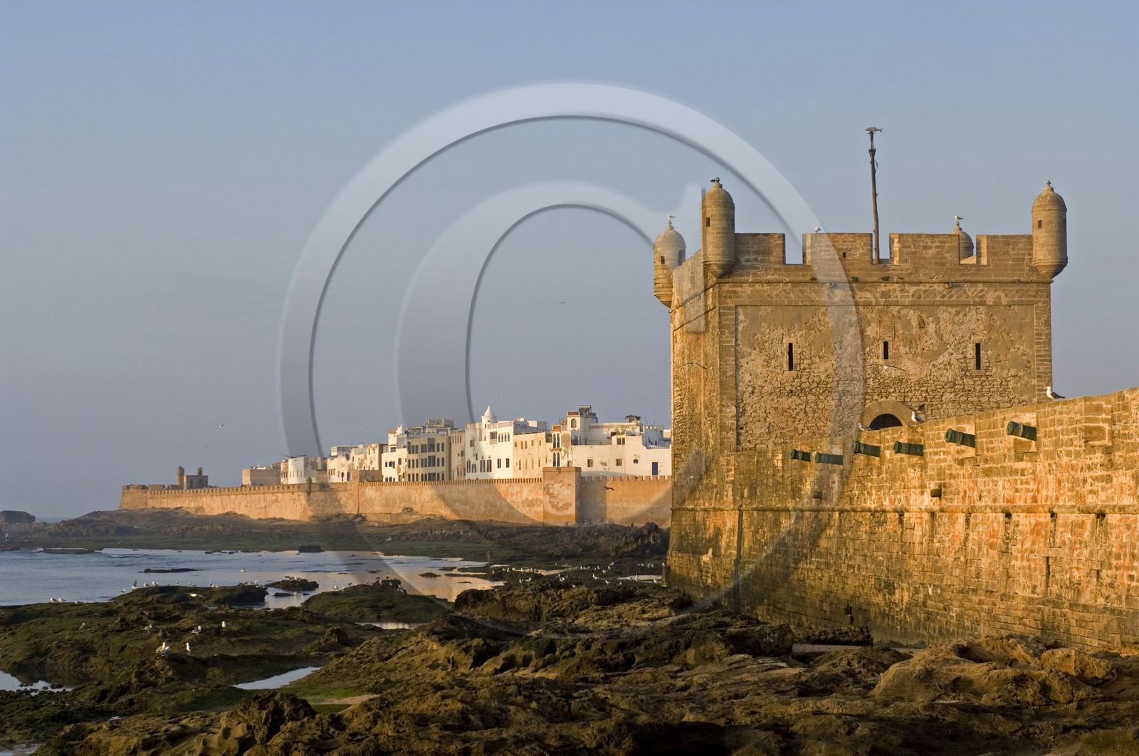 Essaouira, Maroc